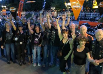 phoca thumb l img large