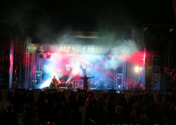 phoca thumb l img large