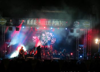 phoca thumb l img large