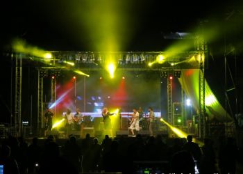 phoca thumb l img large