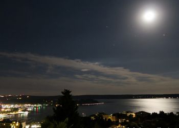 phoca thumb l img large