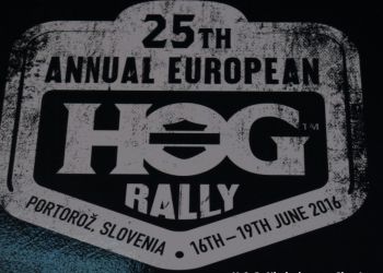 phoca thumb l img large