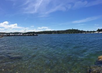 phoca thumb l img large