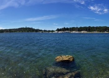 phoca thumb l img large