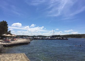 phoca thumb l img large