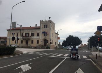 phoca thumb l img large