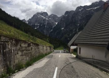 phoca thumb l img large