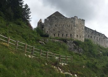 phoca thumb l img large