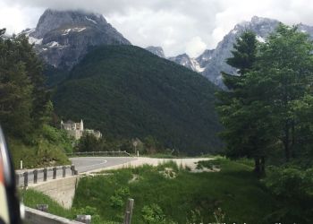 phoca thumb l img large