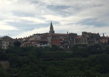 phoca thumb l img large