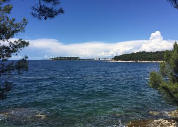 phoca thumb l img large