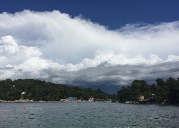 phoca thumb l img large