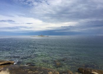 phoca thumb l img large