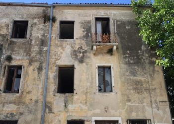 phoca thumb l img large