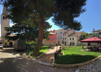 phoca thumb l img large