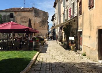 phoca thumb l img large