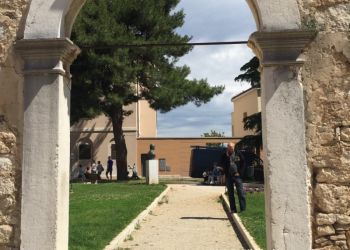 phoca thumb l img large