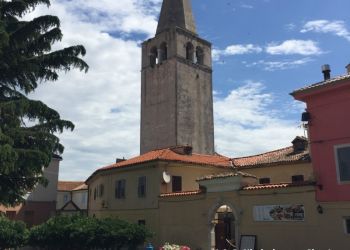 phoca thumb l img large