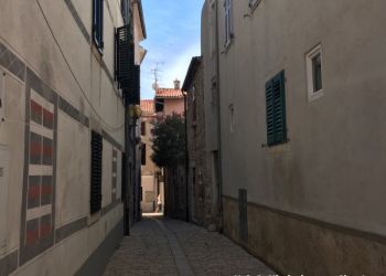 phoca thumb l img large