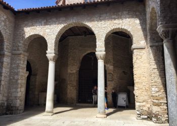 phoca thumb l img large