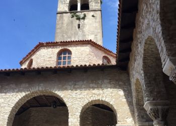 phoca thumb l img large