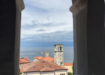 phoca thumb l img large