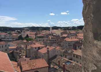 phoca thumb l img large