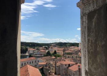 phoca thumb l img large