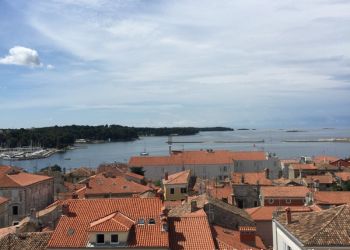 phoca thumb l img large