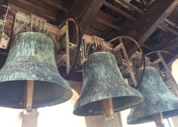 phoca thumb l img large