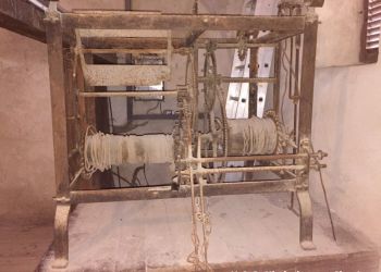 phoca thumb l img large