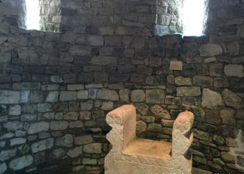 phoca thumb l img large