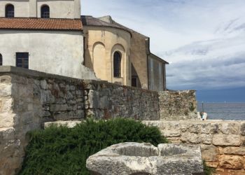 phoca thumb l img large