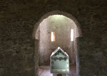 phoca thumb l img large