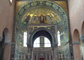 phoca thumb l img large