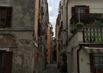 phoca thumb l img large