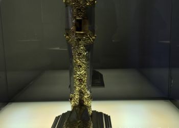 phoca thumb l img large