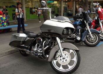 phoca thumb l img large