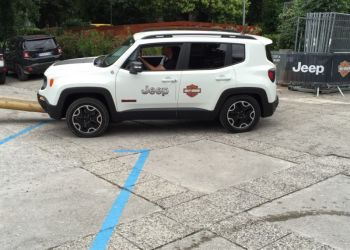 phoca thumb l img large