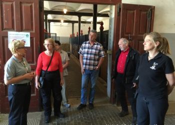 phoca thumb l img large