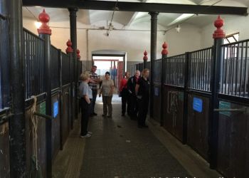 phoca thumb l img large