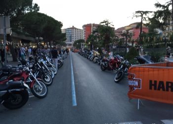 phoca thumb l img large