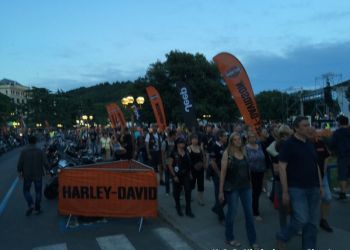 phoca thumb l img large