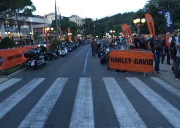 phoca thumb l img large