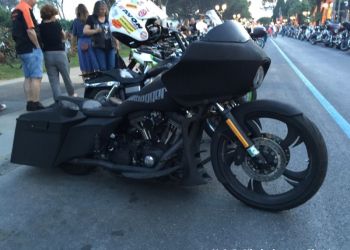 phoca thumb l img large