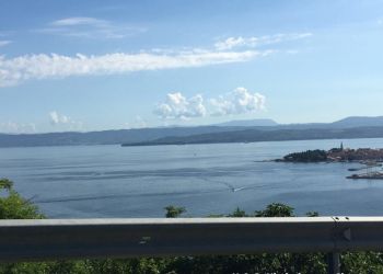 phoca thumb l img large