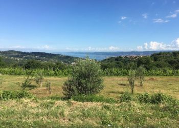 phoca thumb l img large