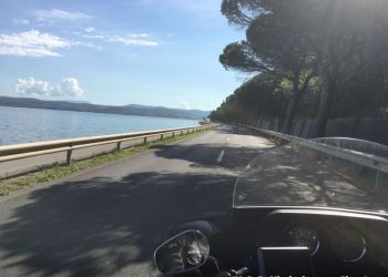 phoca thumb l img large