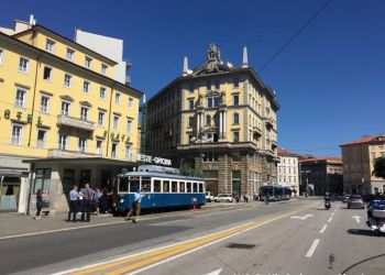 phoca thumb l img large