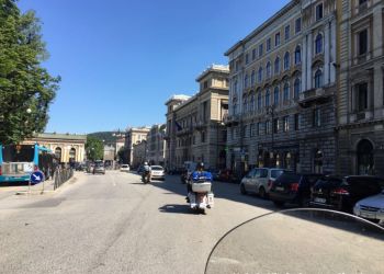 phoca thumb l img large